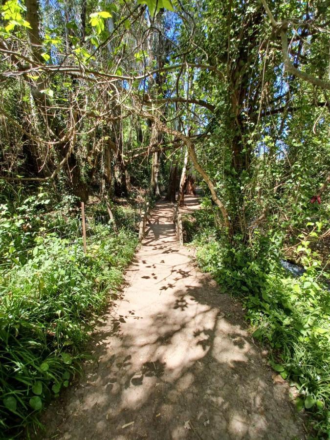 Вилла Casa Sendero Del Rio Эль-Боске Экстерьер фото